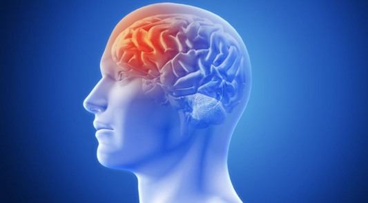 What Happens in Your Brain During a Migraine